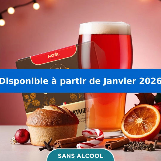 Kit de Bière de Noël sans alcool complet pour brassage 5 litres